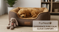 FurNest Calming Bed